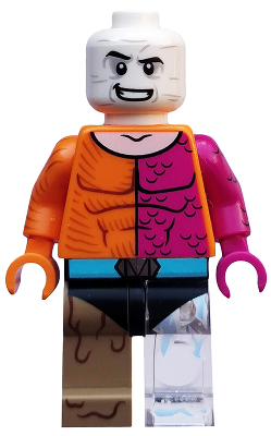 COLSH12 Metamorpho