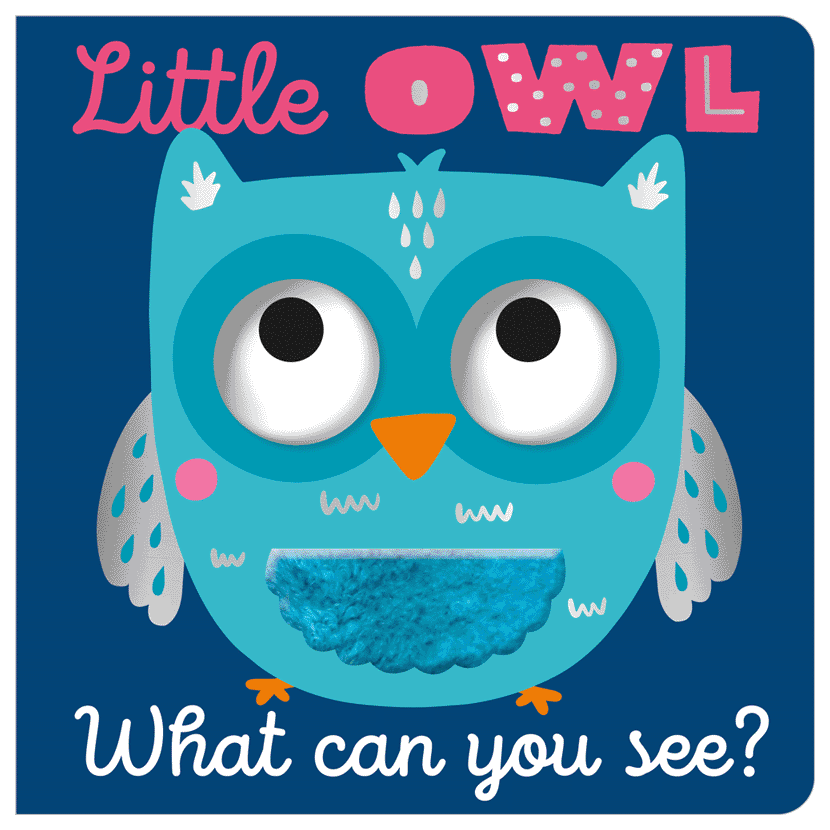 Little Owl What Can You See?