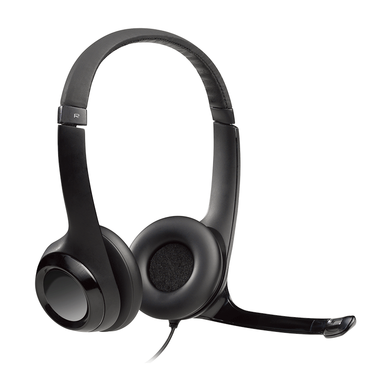Logitech H390 USB Computer Headset