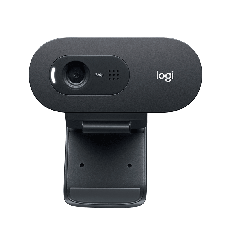 Logitech C505 HD Camera
