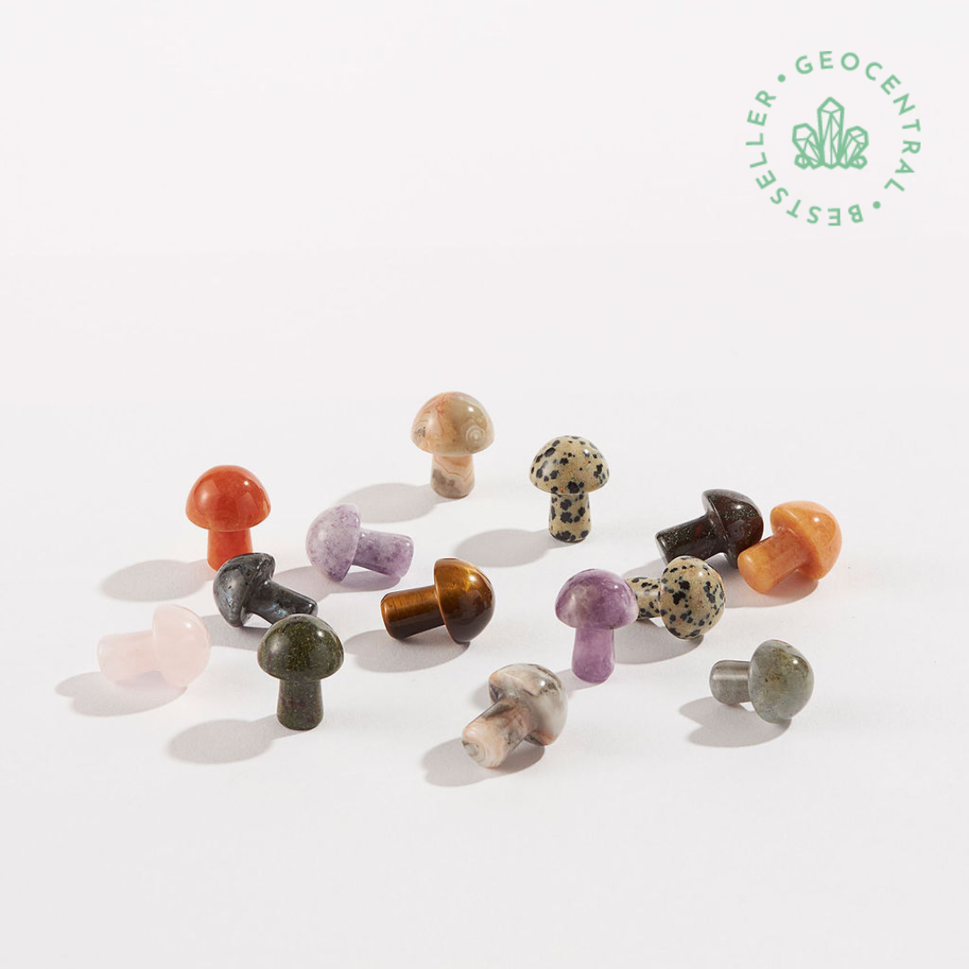 Small Mushroom Stone