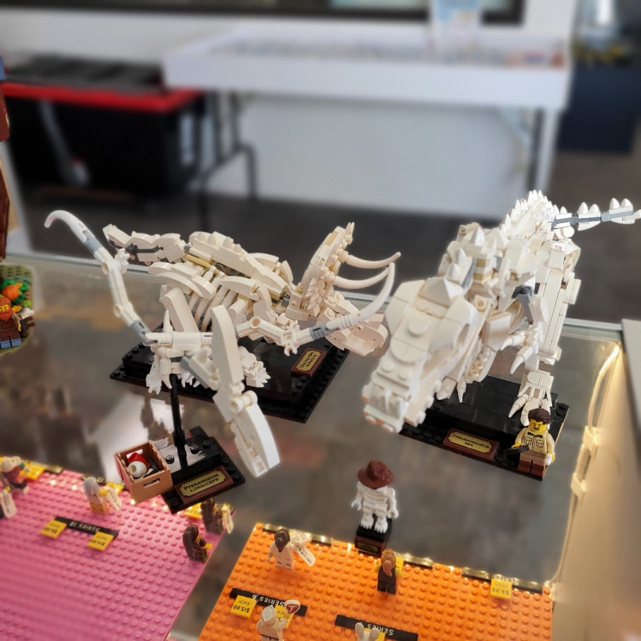 21320 Dinosaur Fossils (Retired) (Previously Owned)