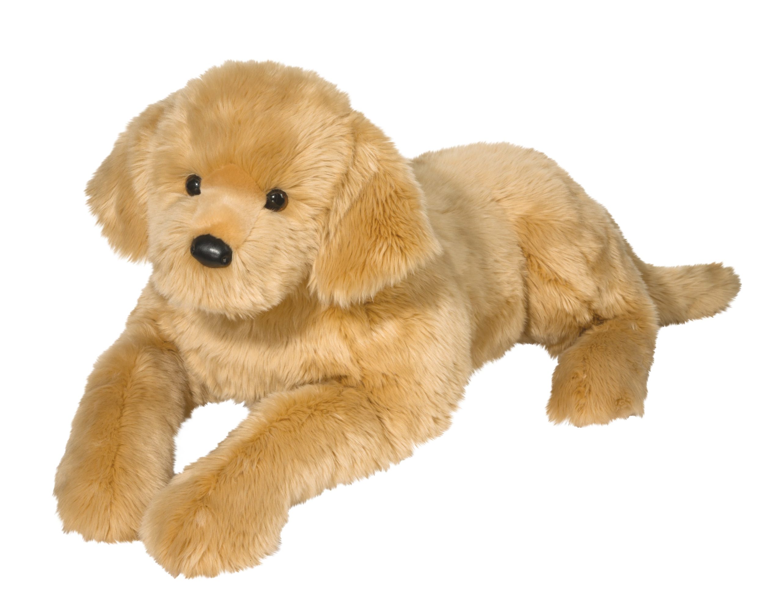 Sherman Large Golden Retriever