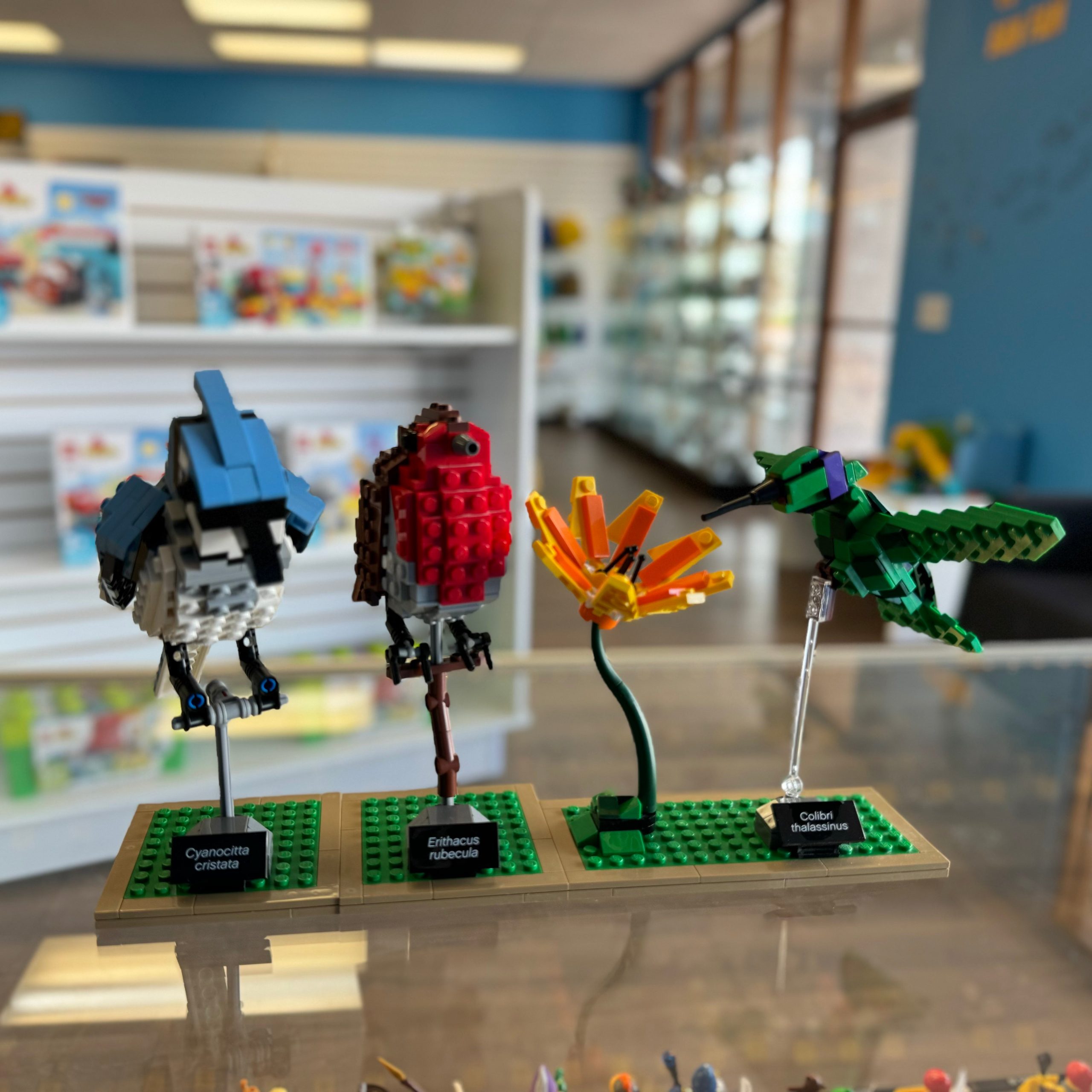 21301 LEGO Ideas Birds (Retired) (Previously Owned)