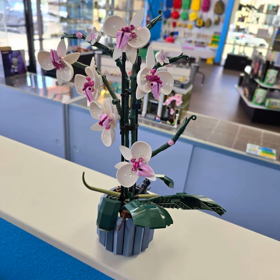 10311 Orchid (Previously Owned)