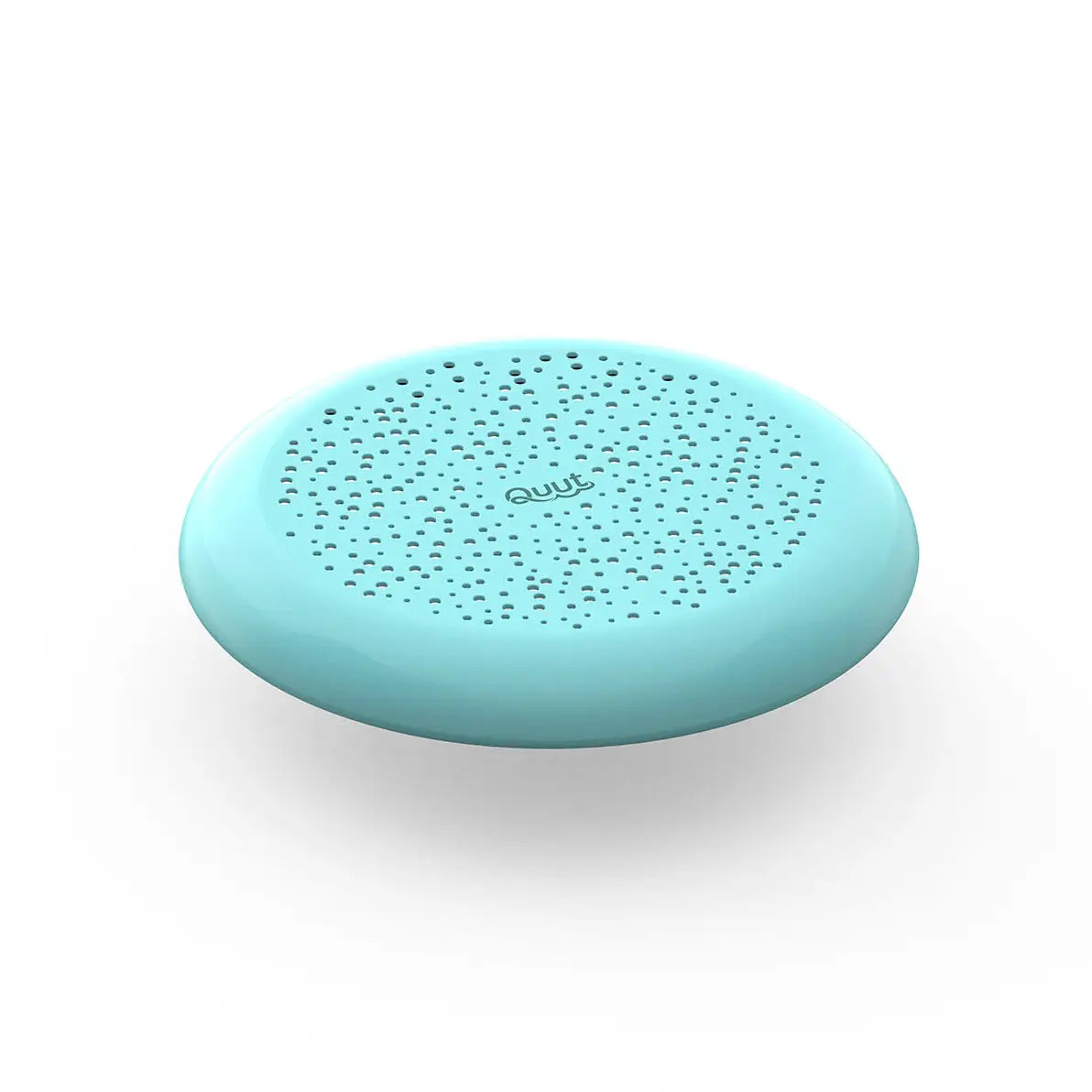 Two-in-One Flying Disc and Sand Sifter