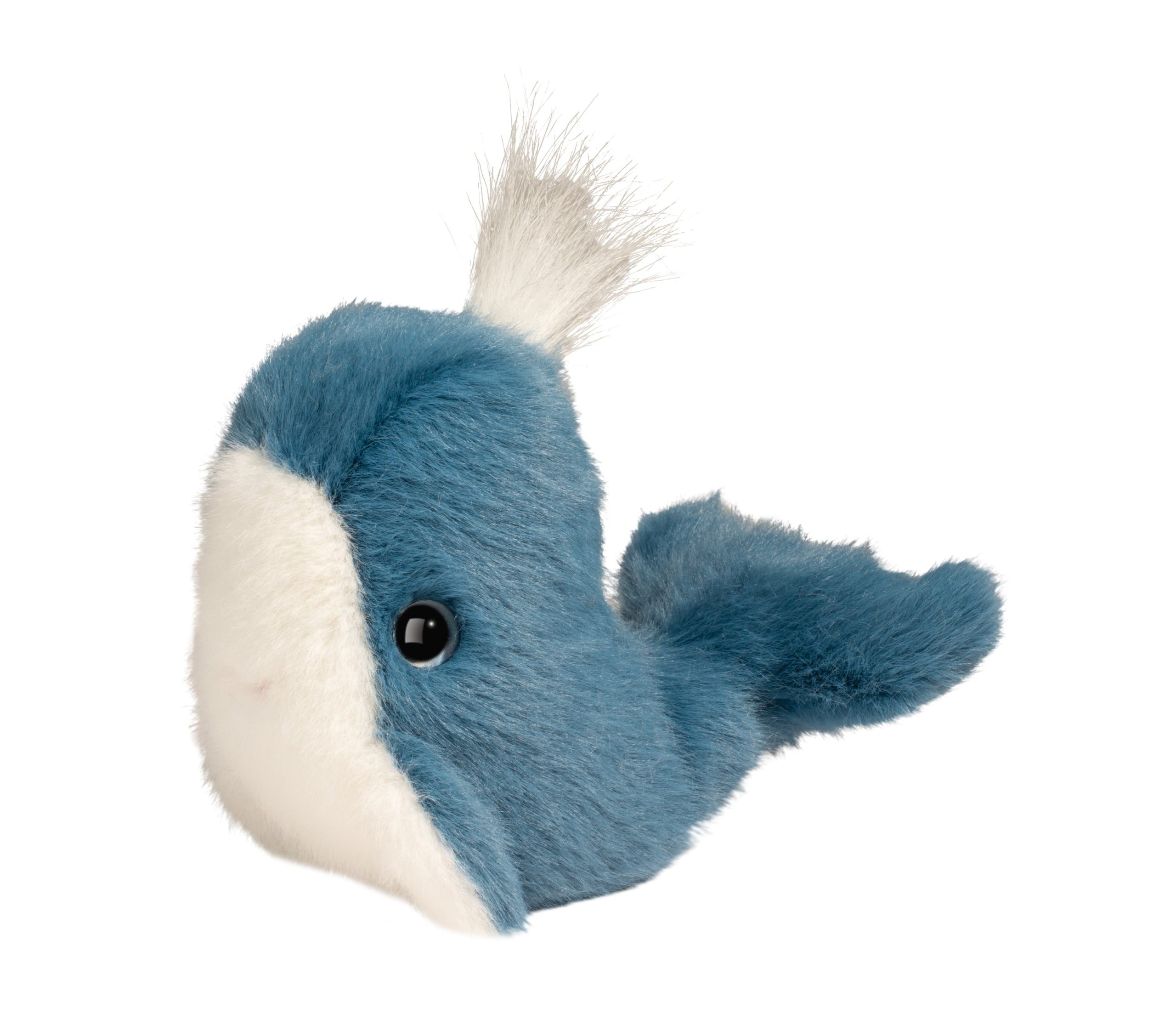 Lil’ Baby Whale