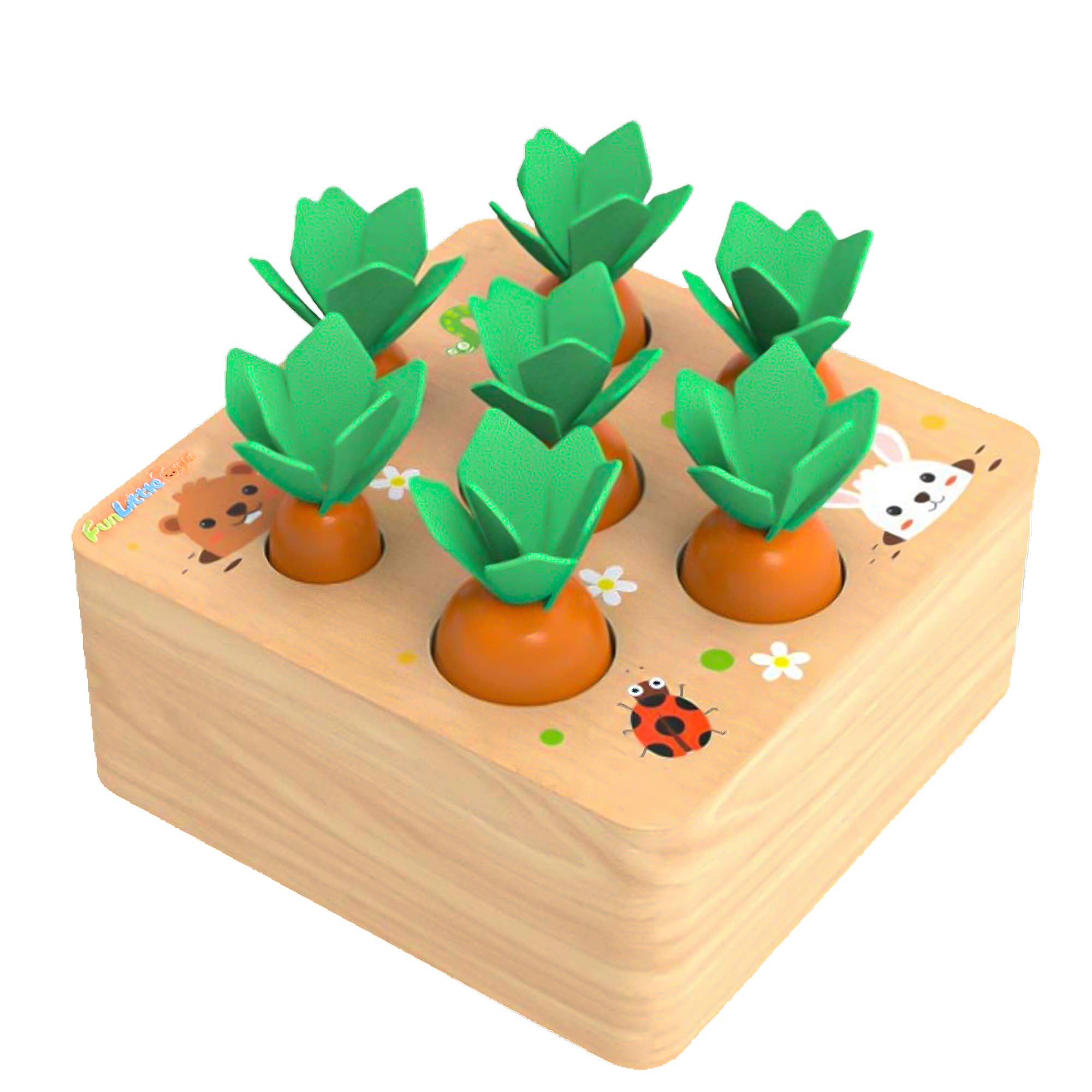 Wooden Carrots Shape Sorting