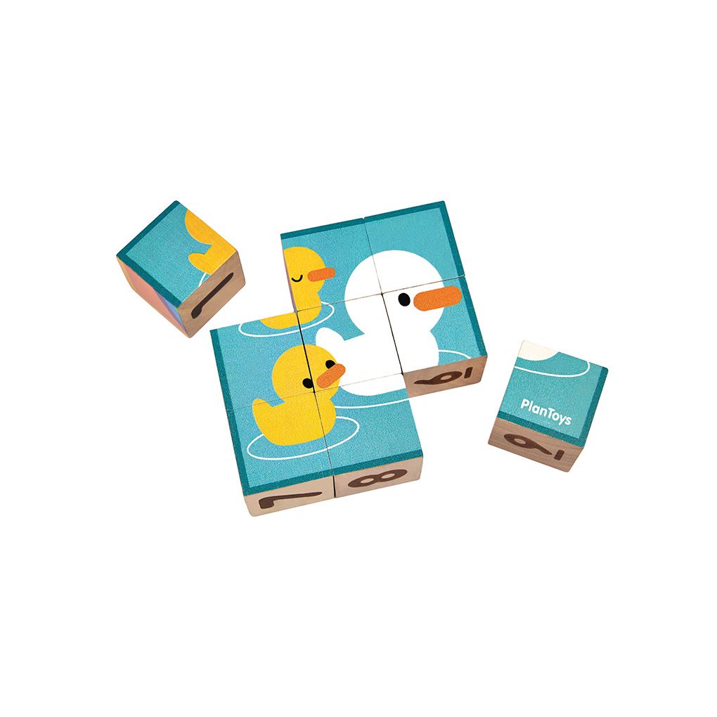 PlanToys Puzzle Cube