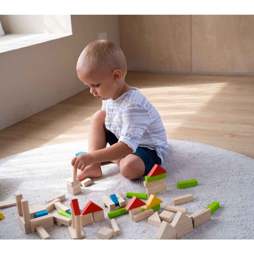 Plan Toys 40 Unit Blocks