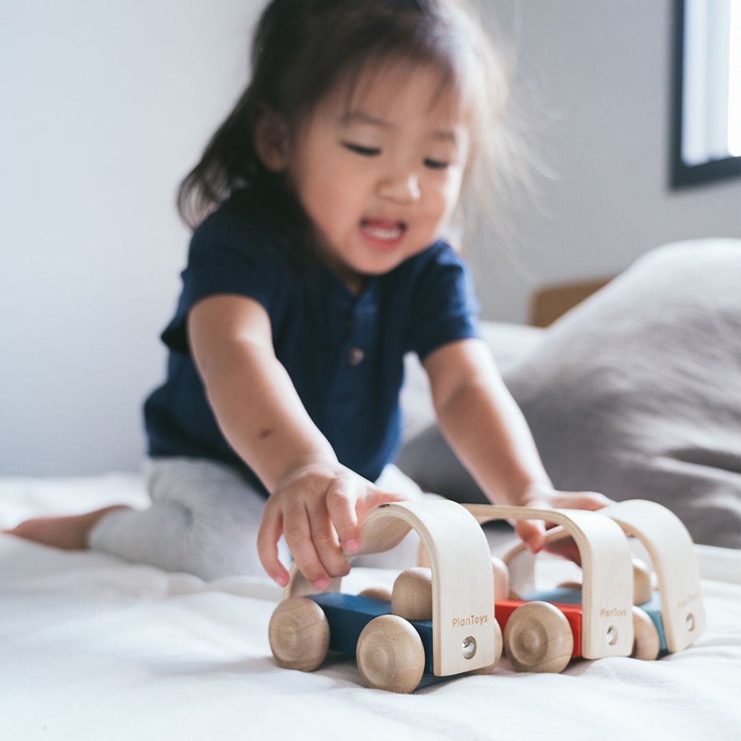 Plan Toys Vroom Truck