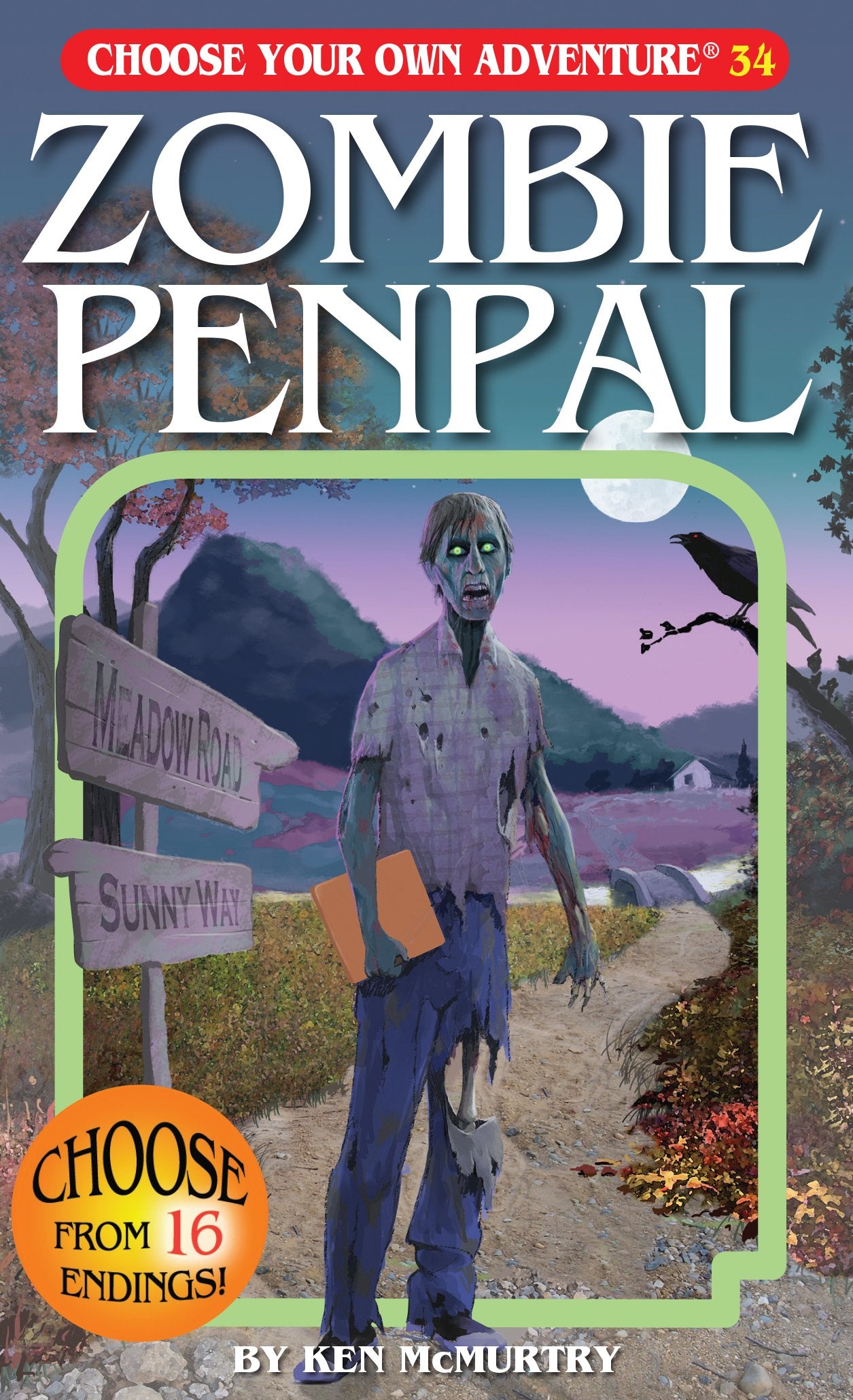 Choose Your Own Adventure - Zombie Penpal