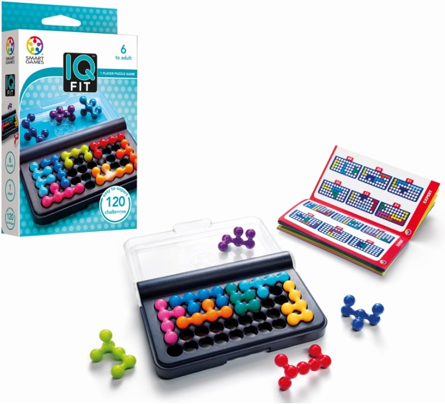 IQ Fit Travel Puzzle