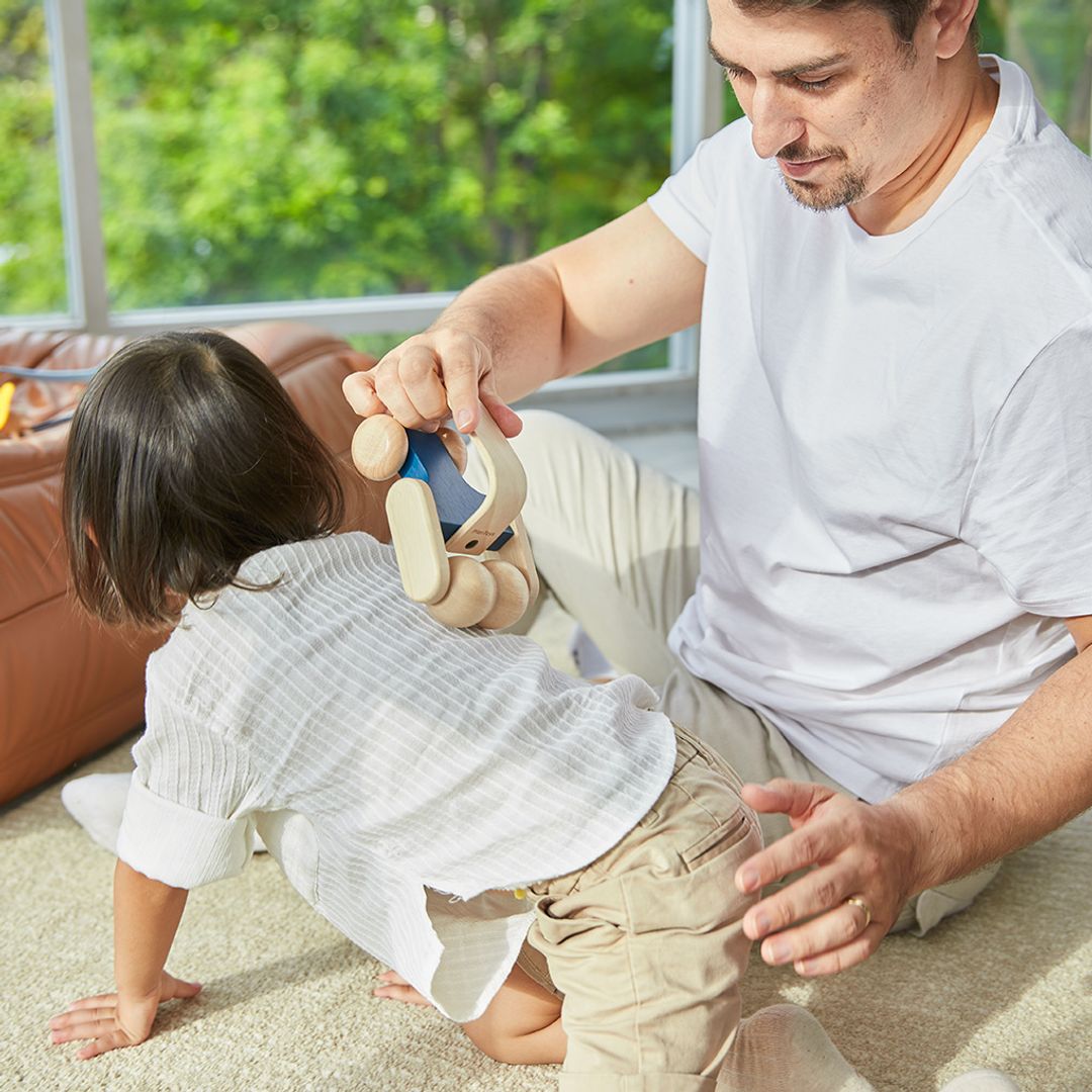 Plan Toys Massage Roller