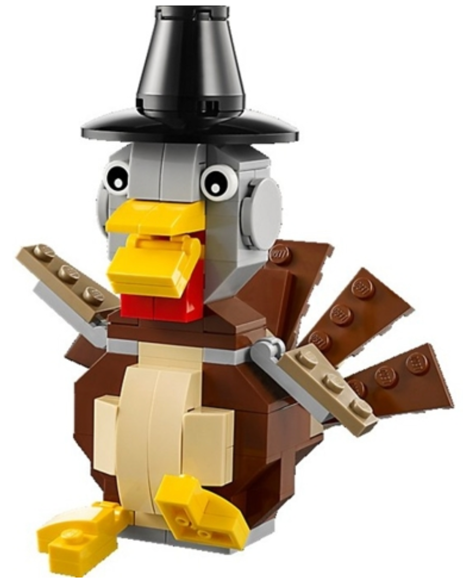 Thanksgiving Turkey - 40091