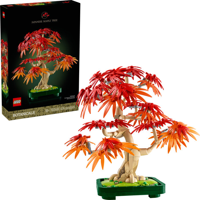 10348 Japanese Red Maple Bonsai Tree