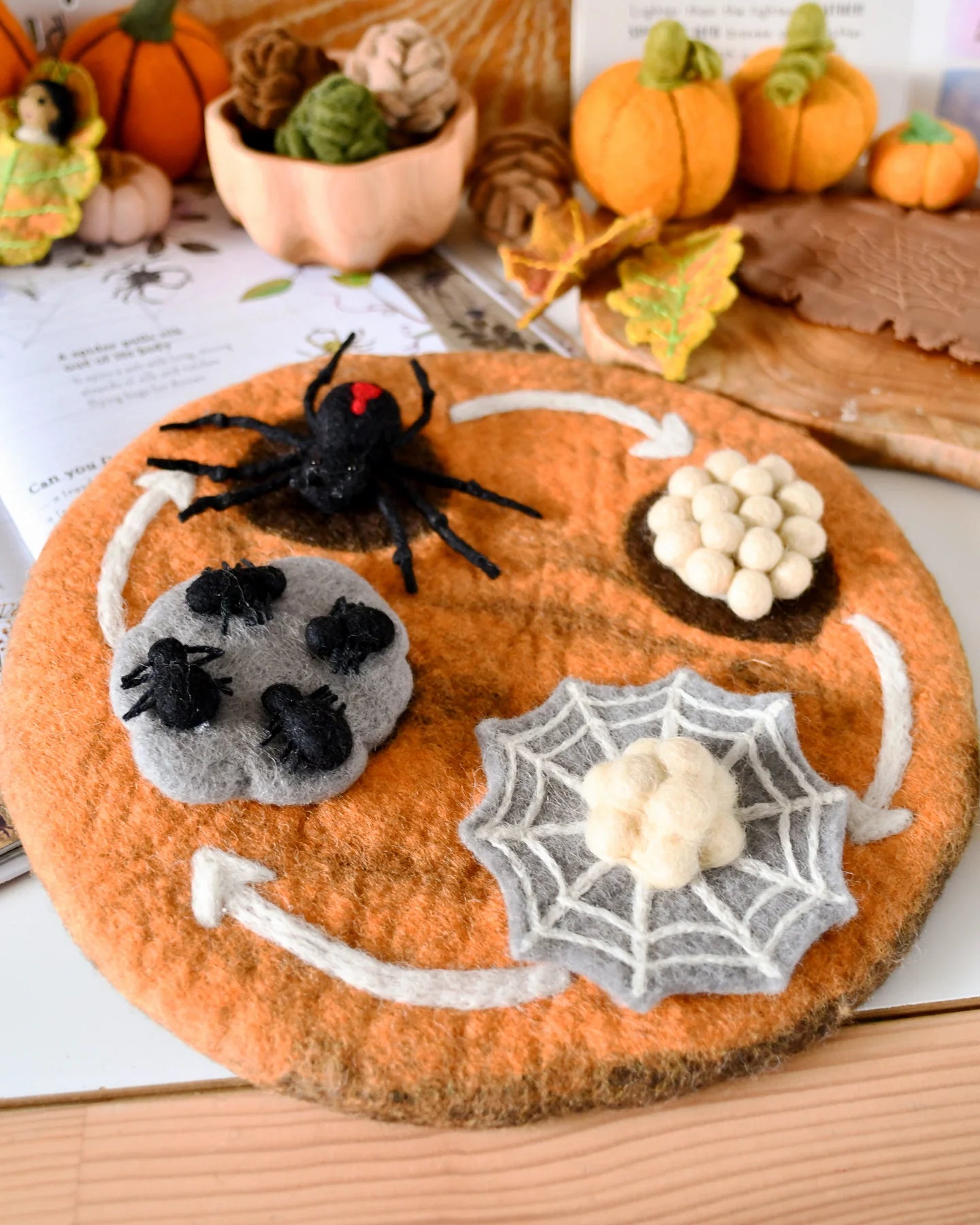 Pre-Order Felt Lifecycle of a Redback Spider (Ships in September)