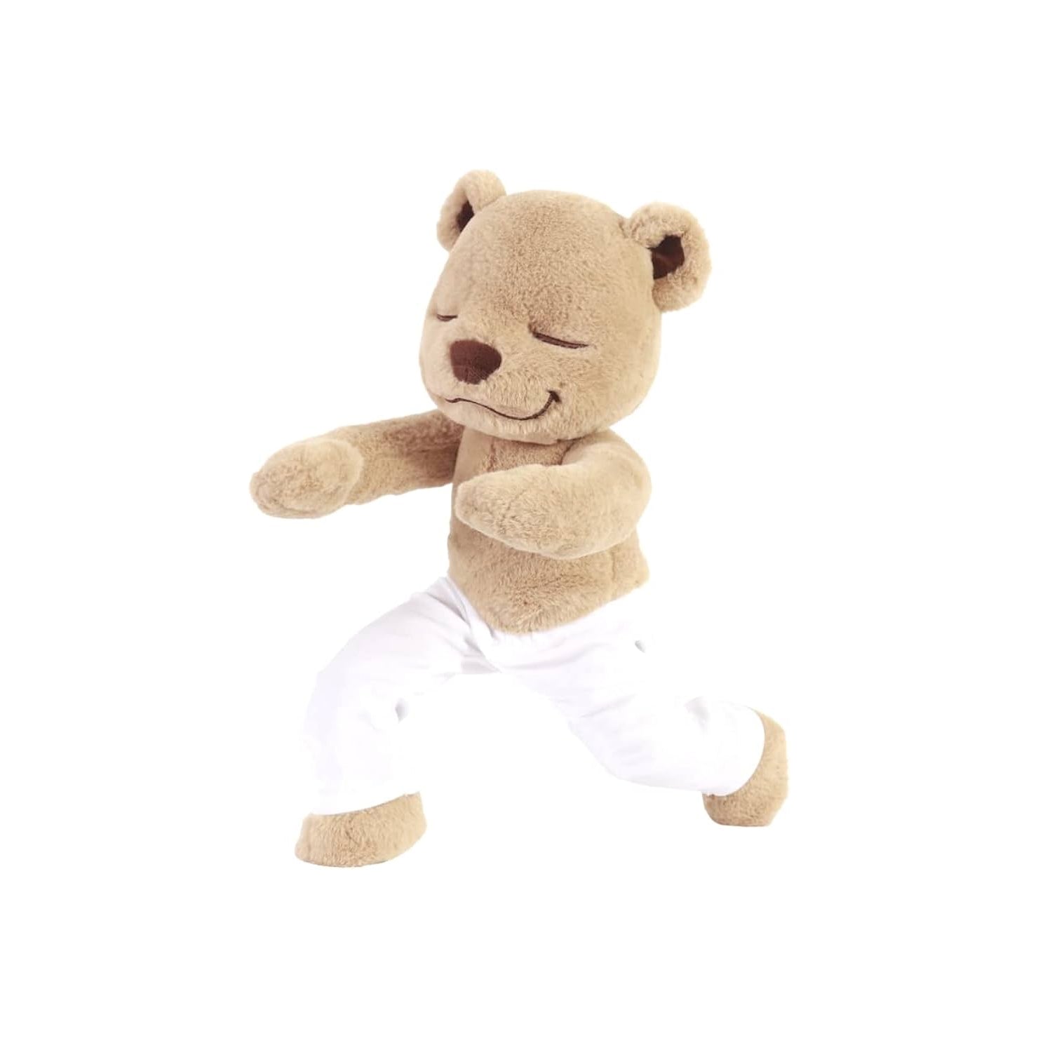 Teddy The Yoga Bear