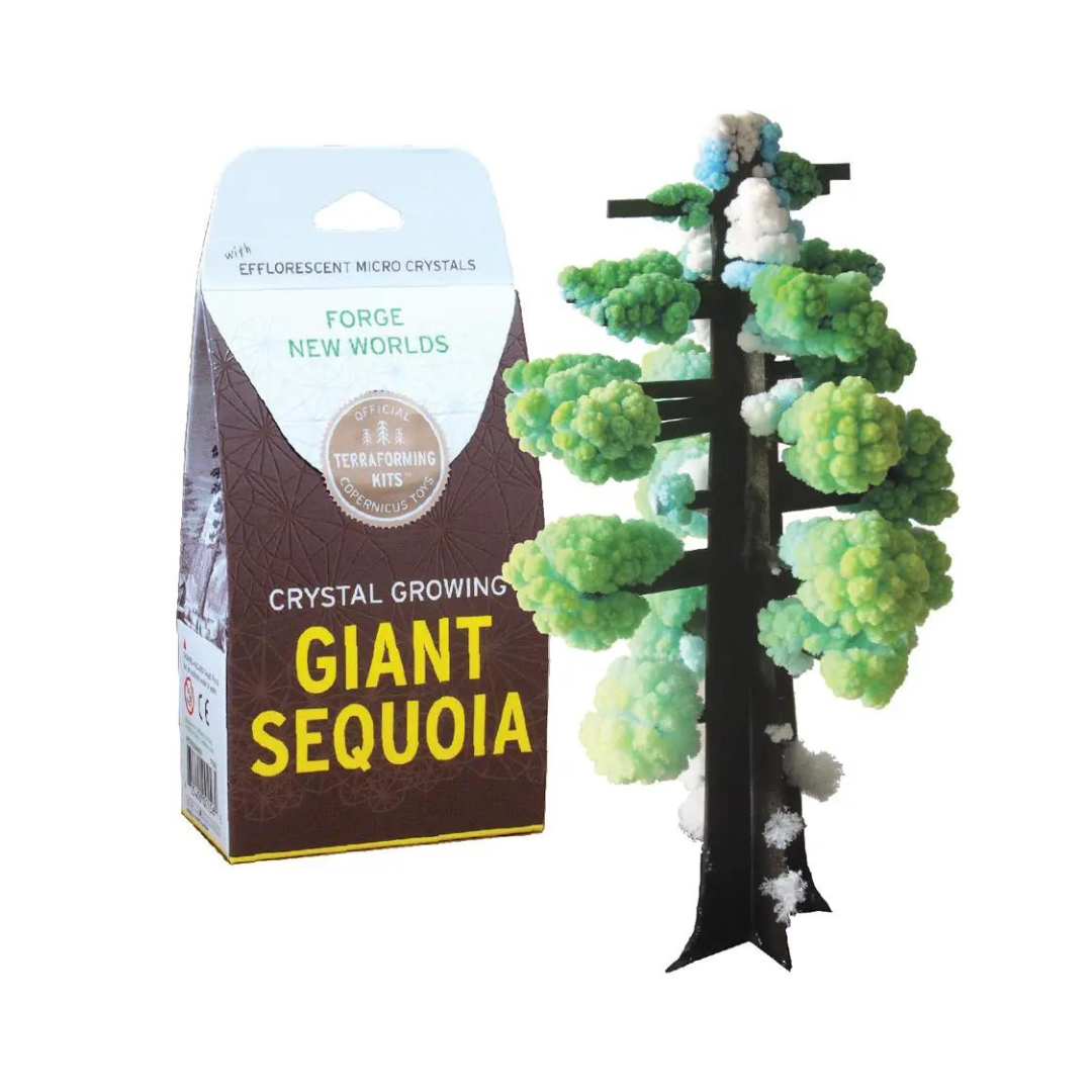 Crystal Growing: Giant Sequoia