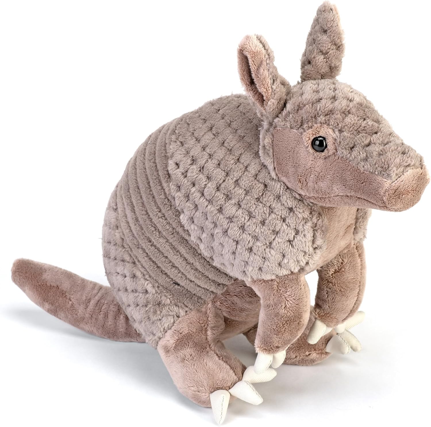 Armadillo 12"