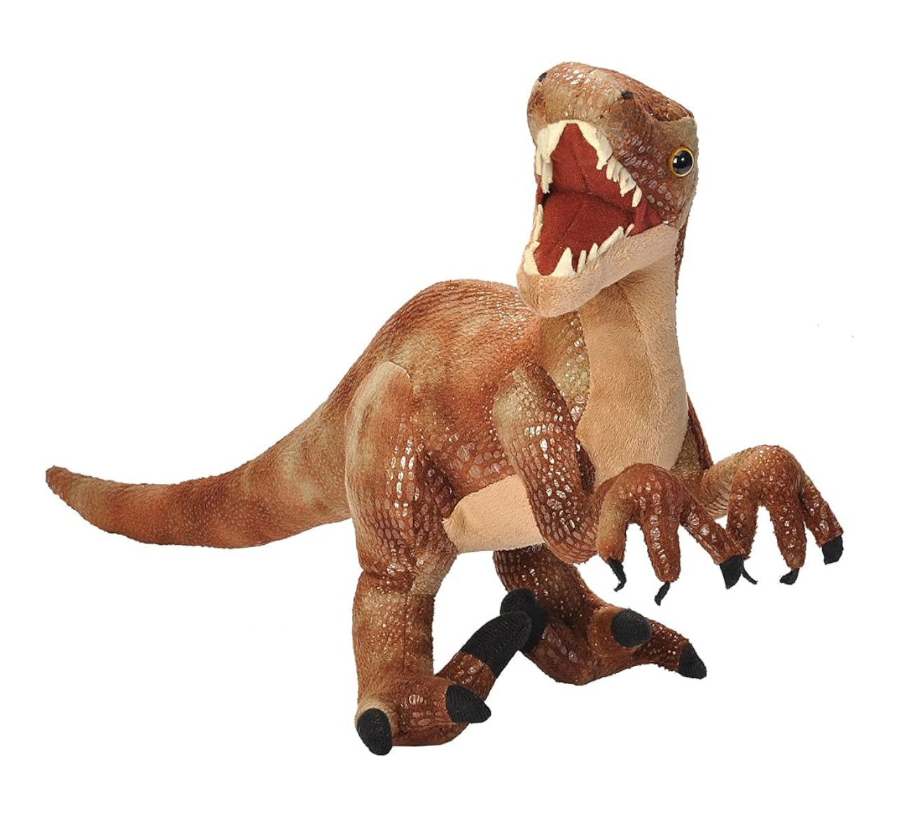 Dinosauria II Velociraptor