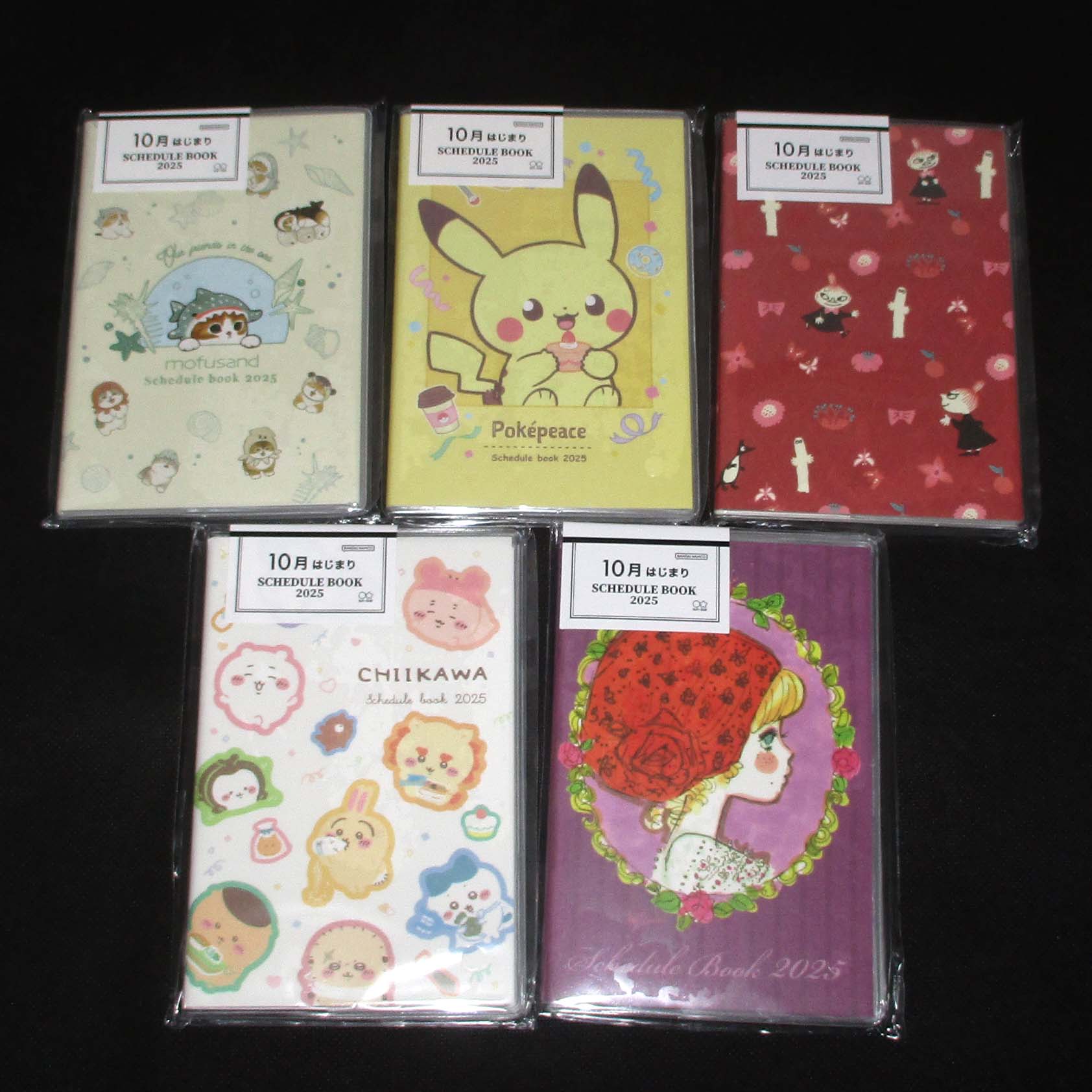 Japan 2025 Monthly Pocket Schedule Book / Planner