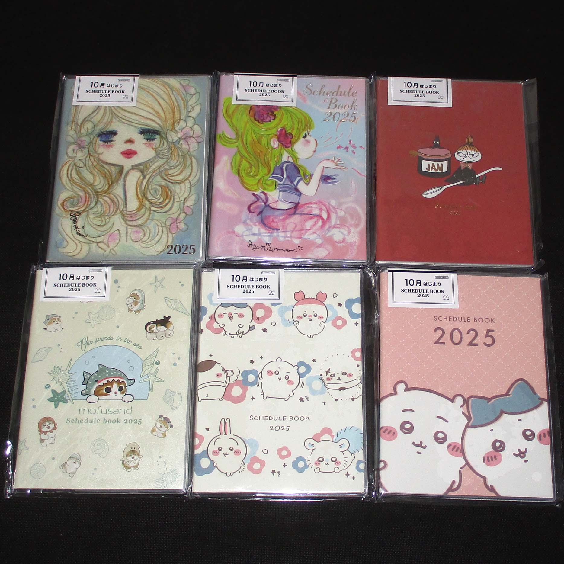 Japan 2025 Monthly A6 Schedule Book / Planner