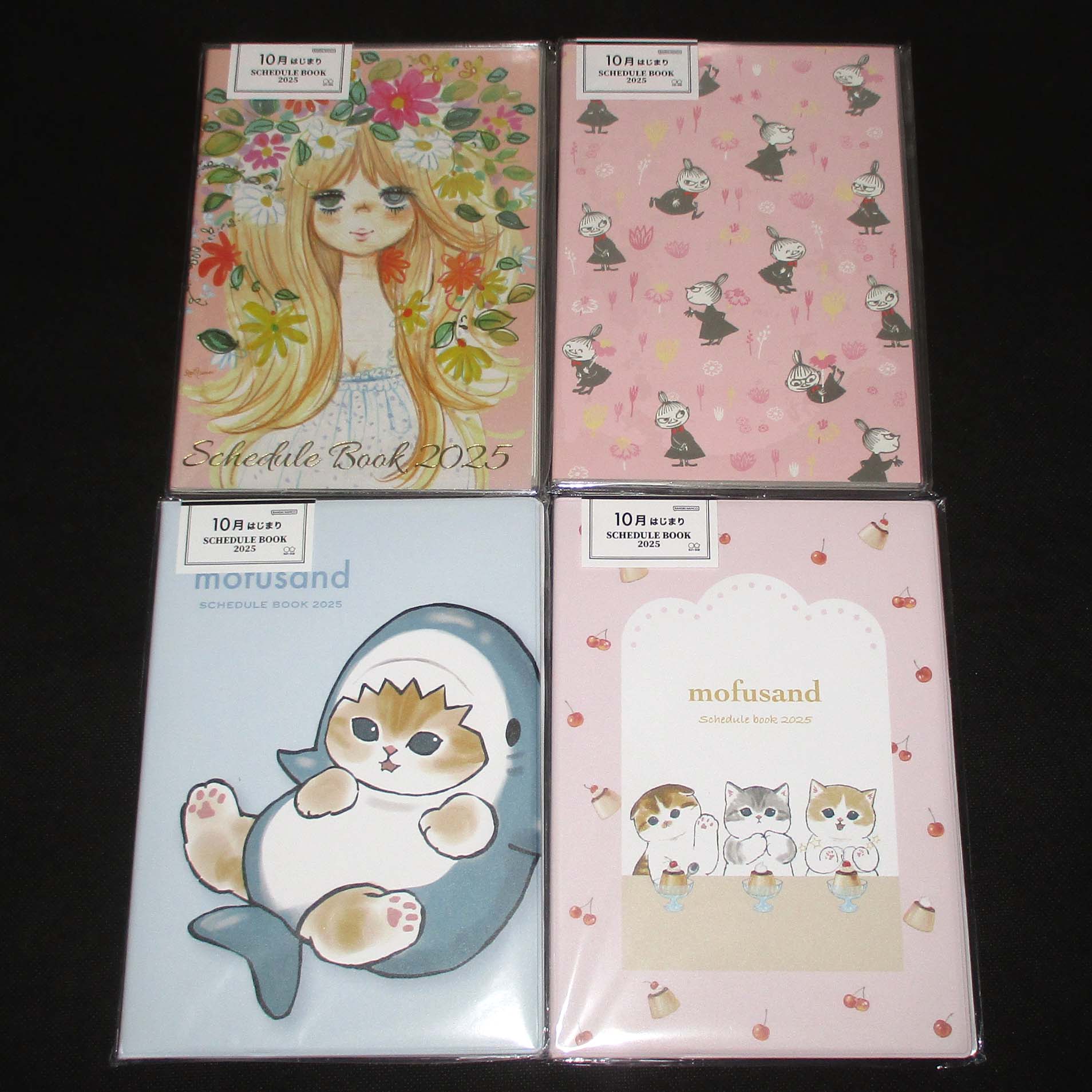 Japan 2025 Monthly B6 Schedule Book / Planner