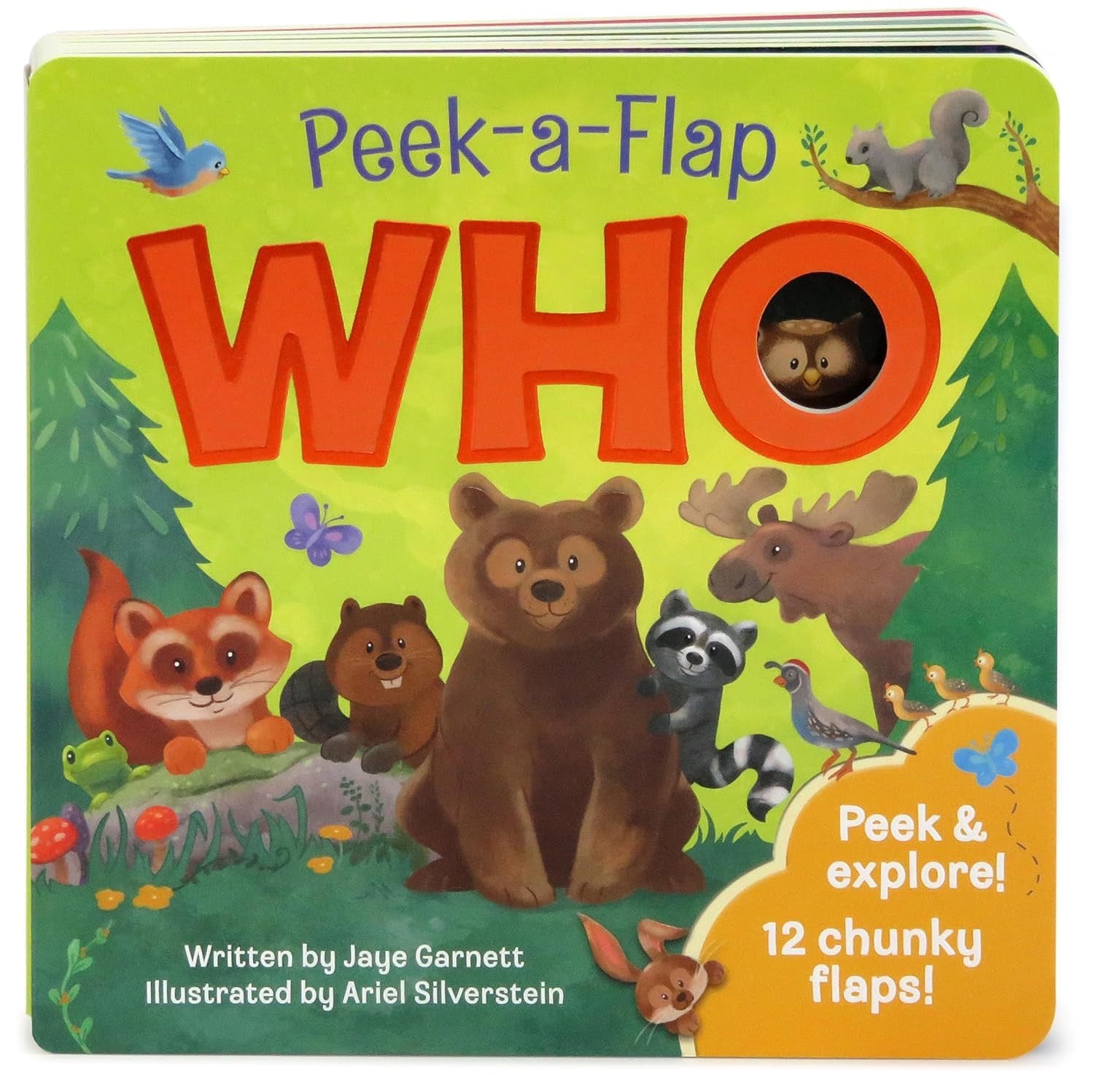 Who Interactive Lift-a-Flap Board Book