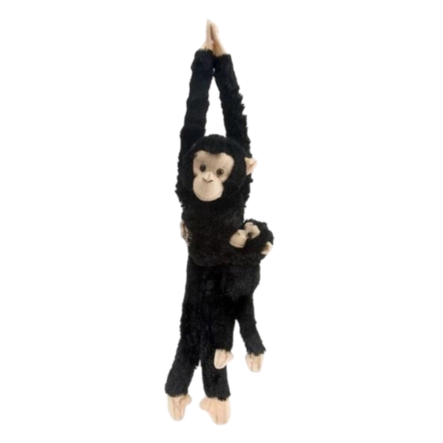 Hanging Chimpanzee with Baby