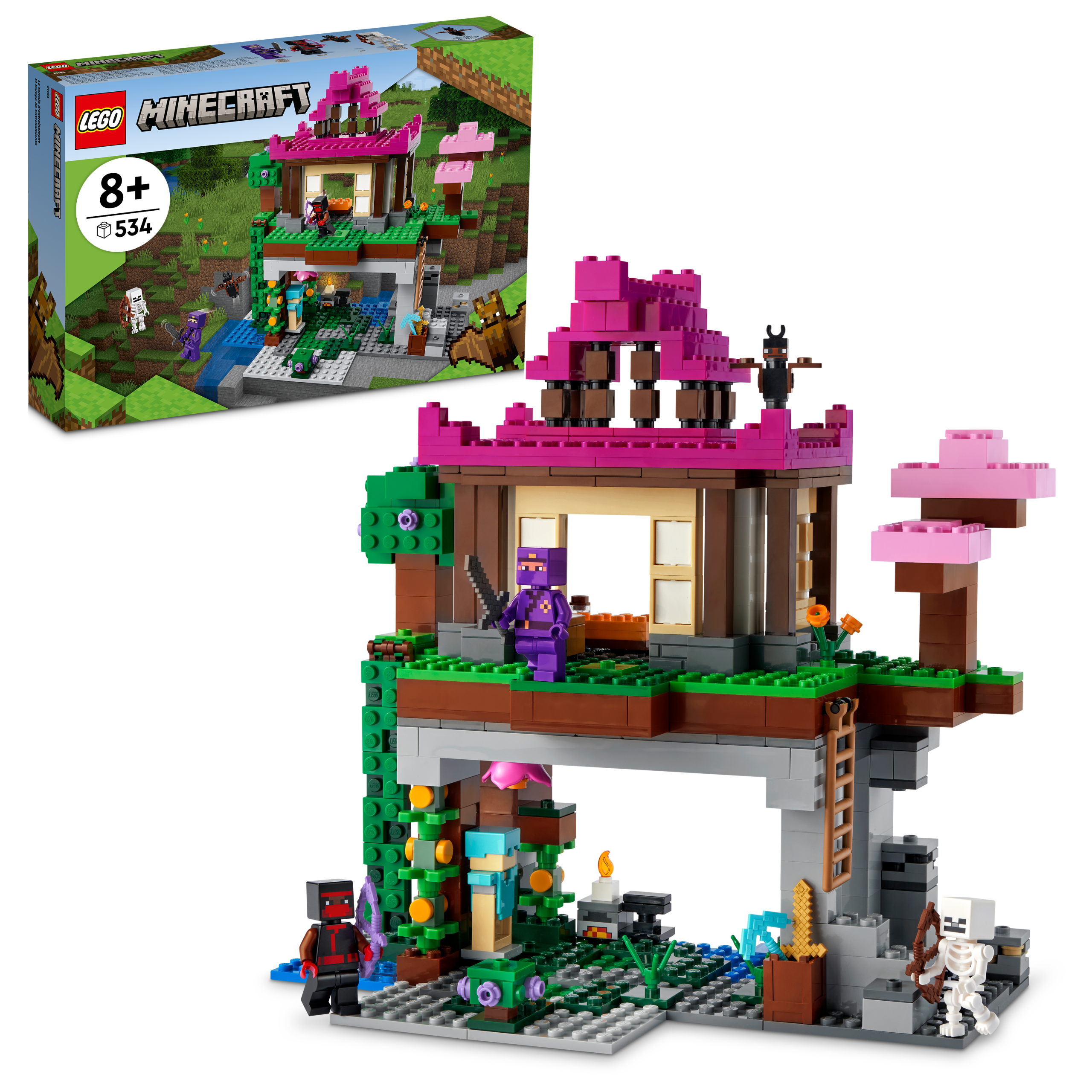 The Training Grounds LEGO 21183 Minecraft