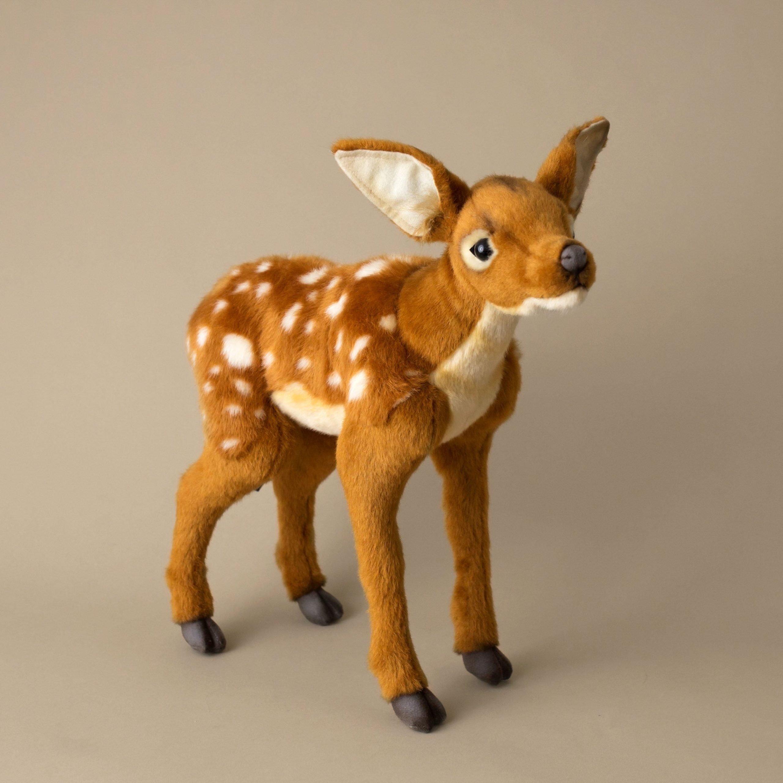 Bambi Kid | Standing