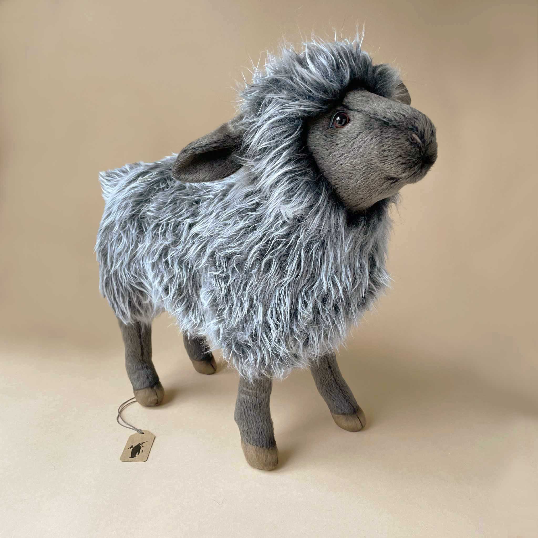 Black Sheep Mama | Standing