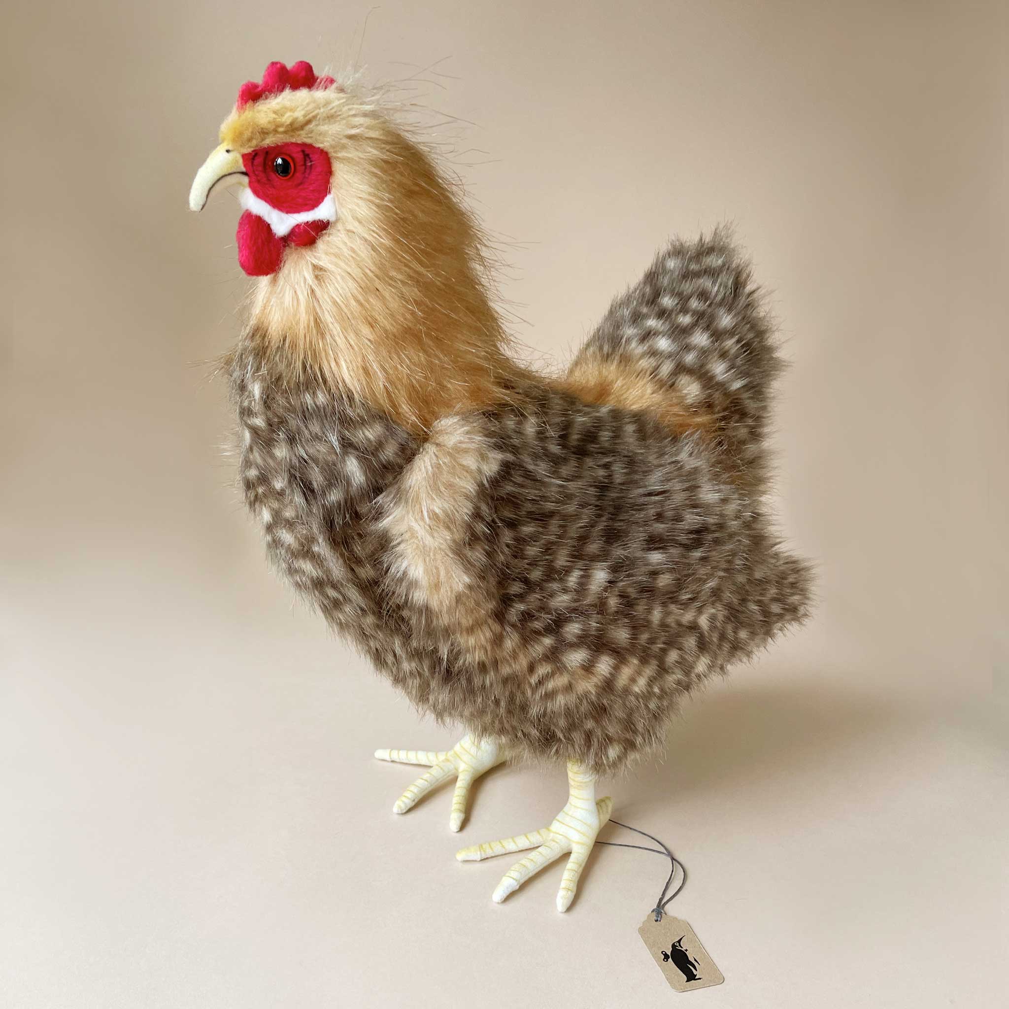 Brown Hen