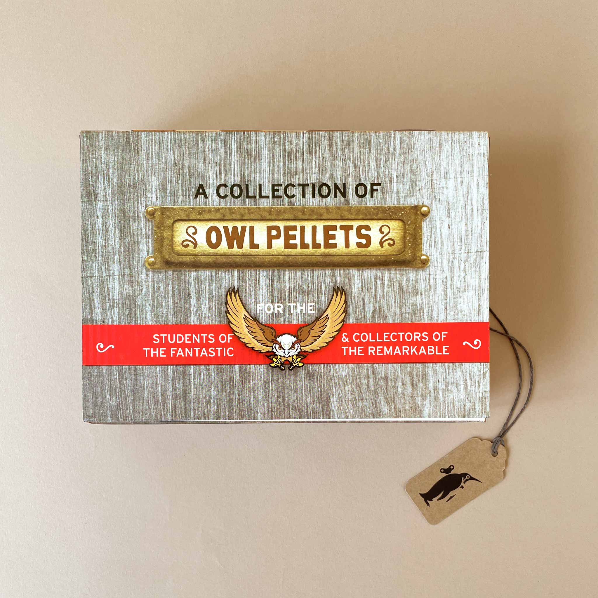 Cabinet of Owl Pellets