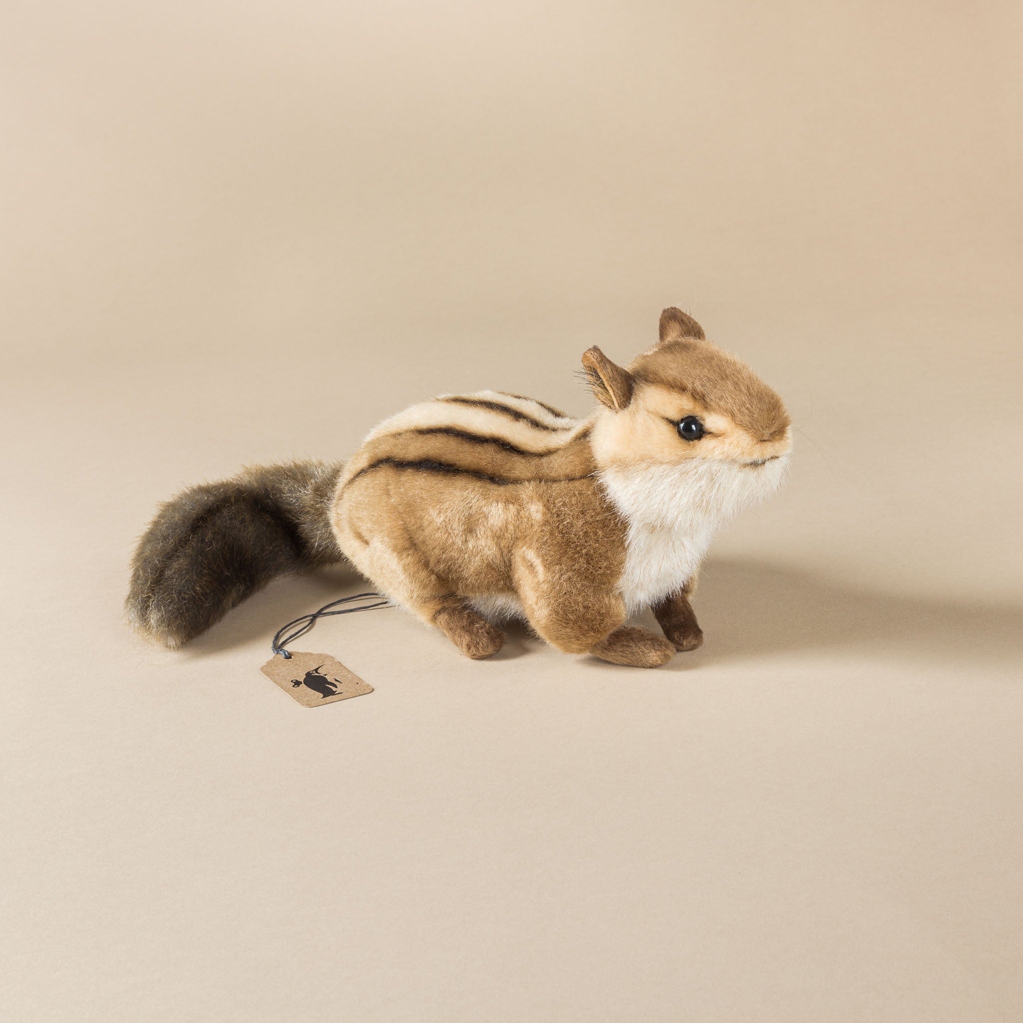Chipmunk | Standing