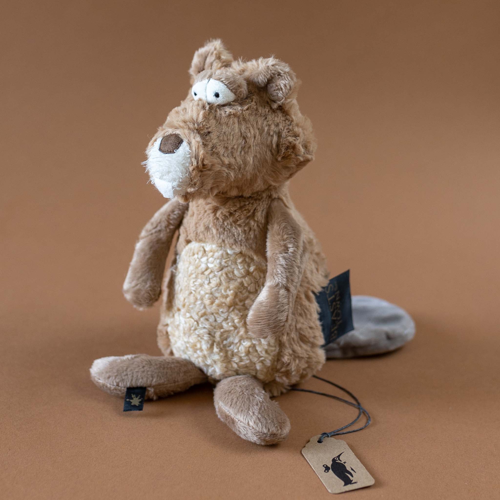 Co-Constructor Beaver