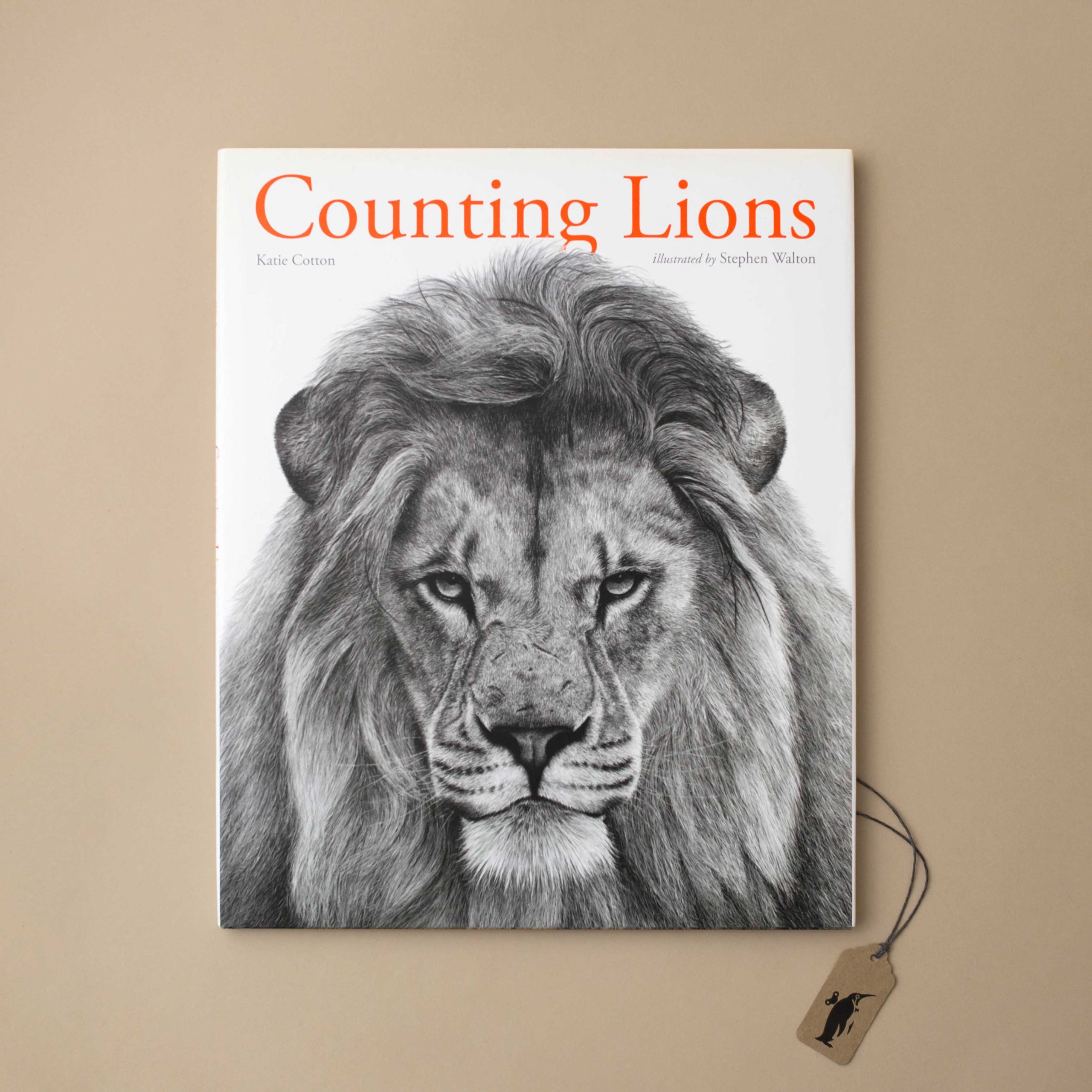 Counting Lions Book
