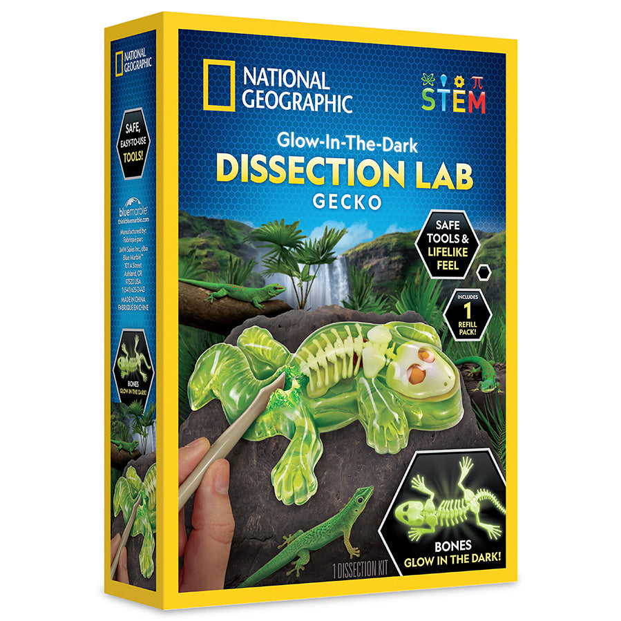 National Geographic Glow-in-the-Dark Gecko Dissection Kit