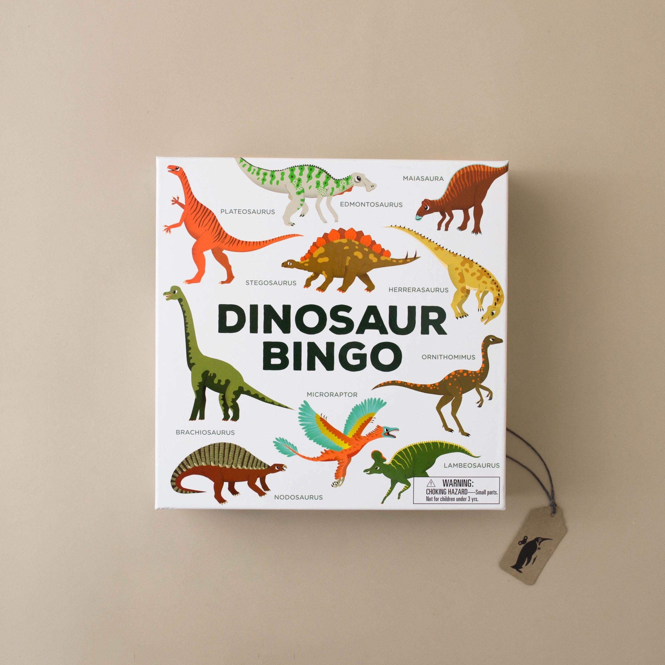 Dinosaur Bingo Game