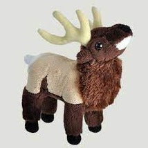 Wild Calls Elk