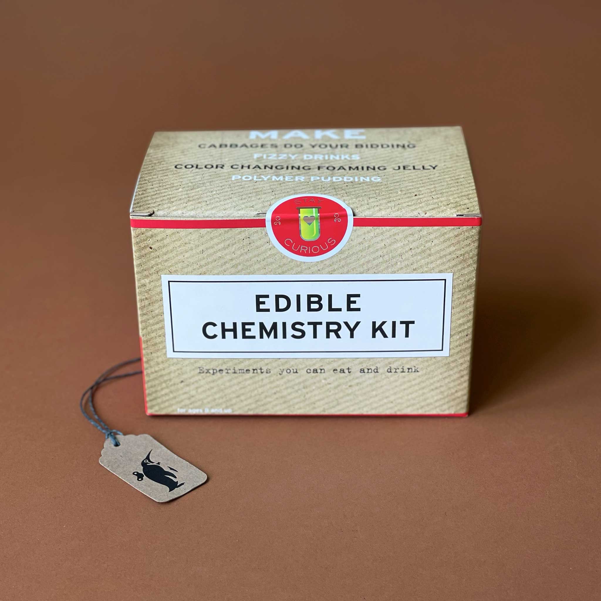 Edible Chemistry Kit