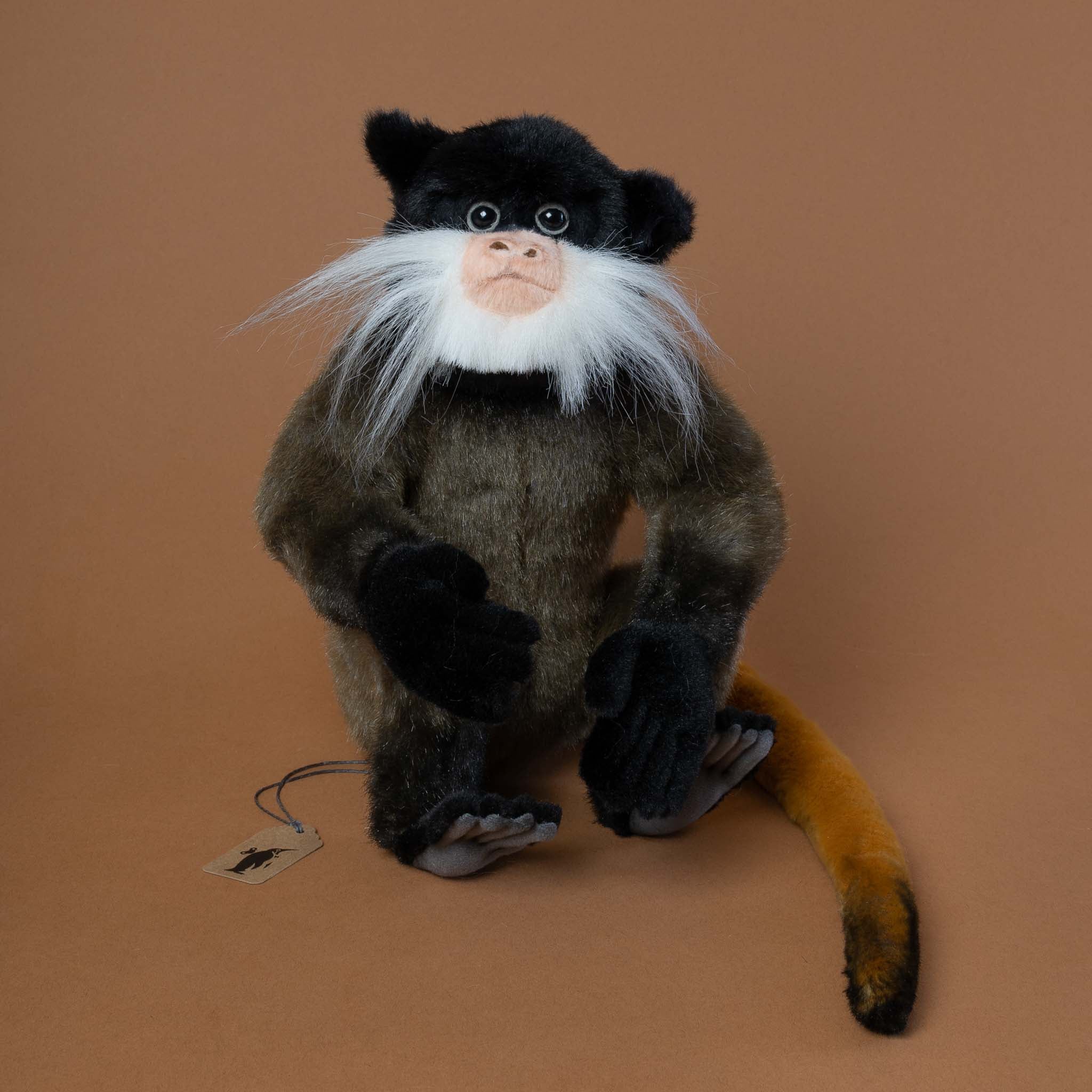 Emperor Tamarin Monkey
