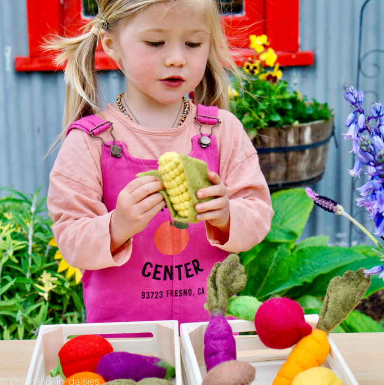 Pre-Order Felt Fruits and Vegetables, Set A, 14 pcs (Ships in August)