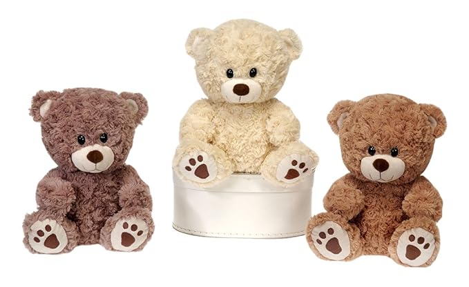 9.5” Sitting Paw Print Bears Assorted Styles