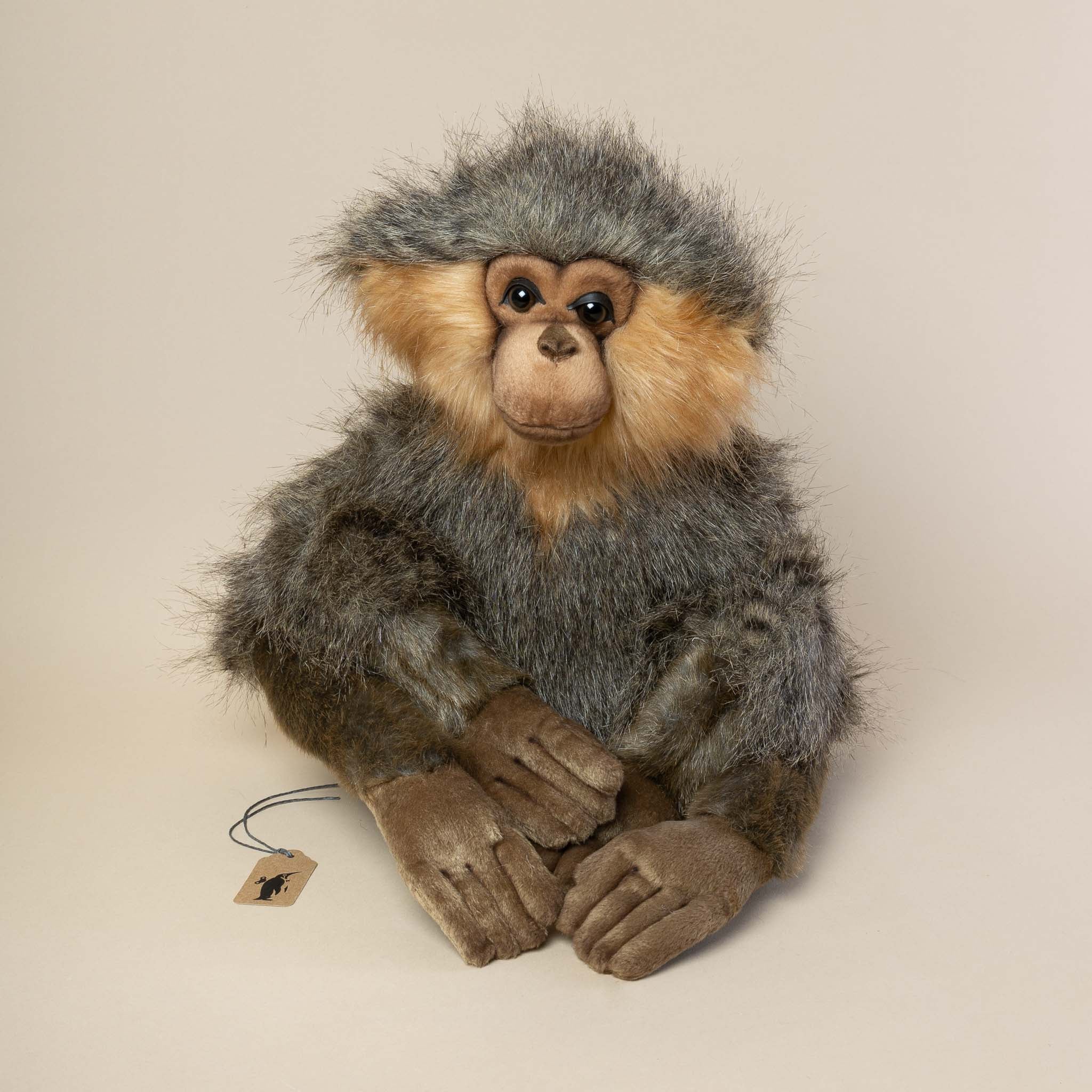 Gibbon | Sitting