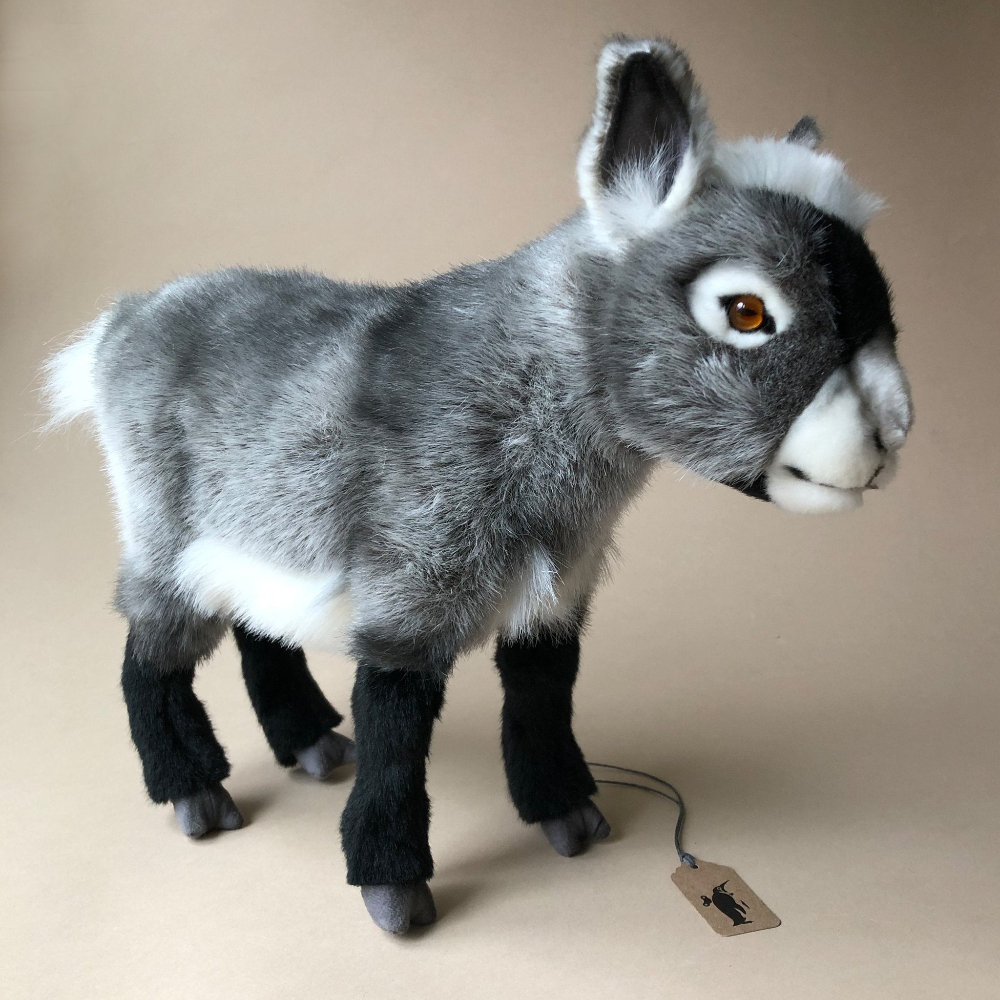 Grey Goat | Dwarf