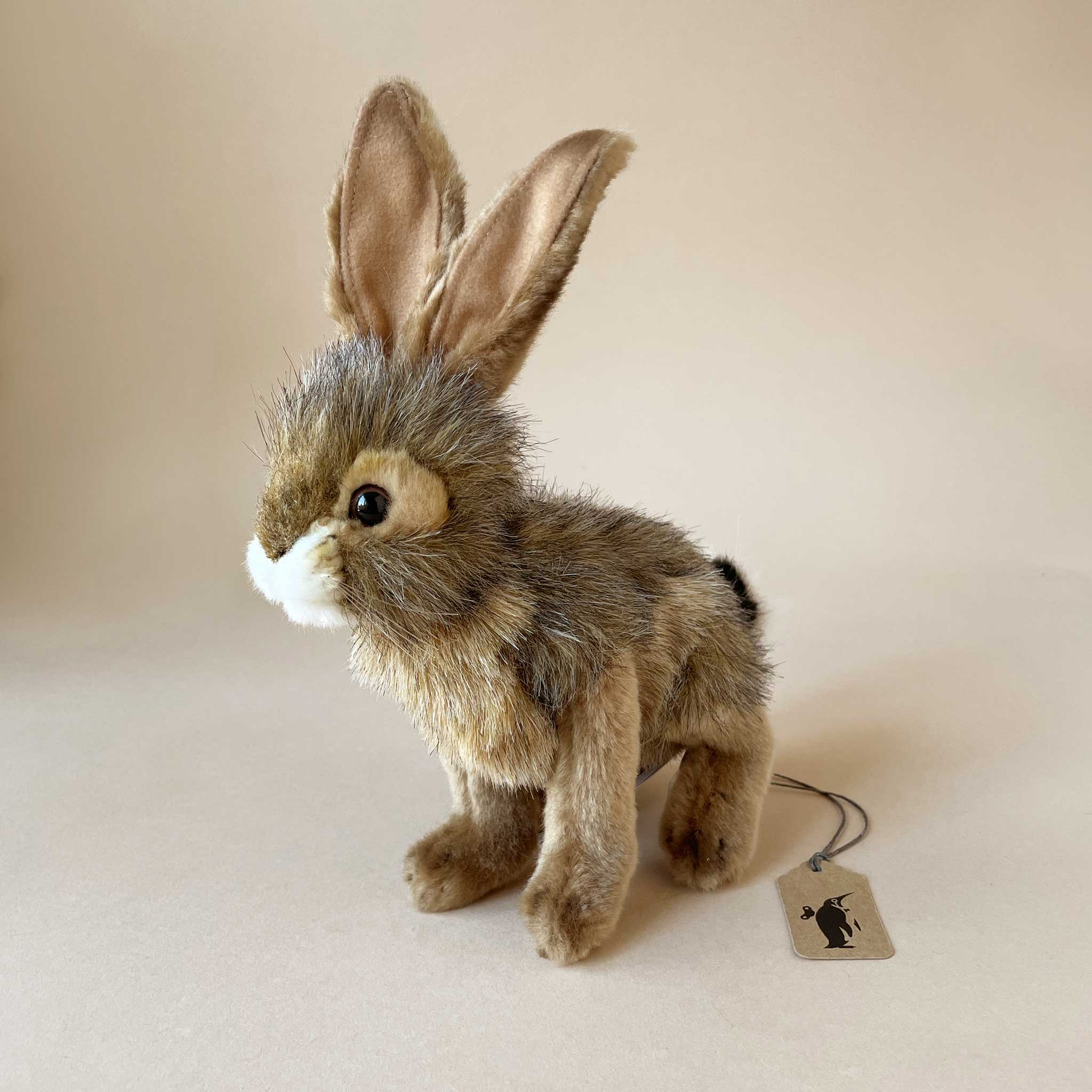 Black-Tail Rabbit | Small