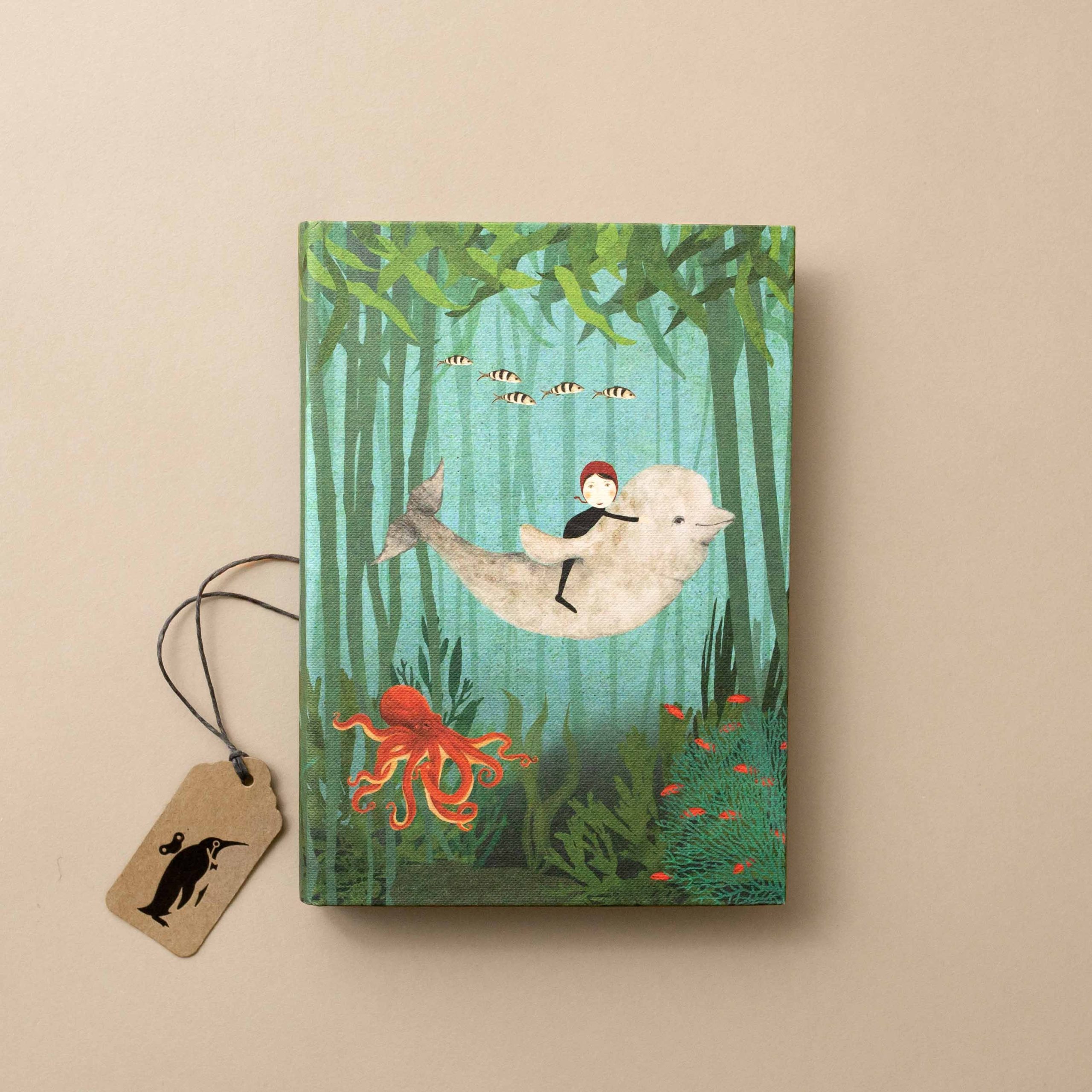Illustrated Journal | Kelp Forest