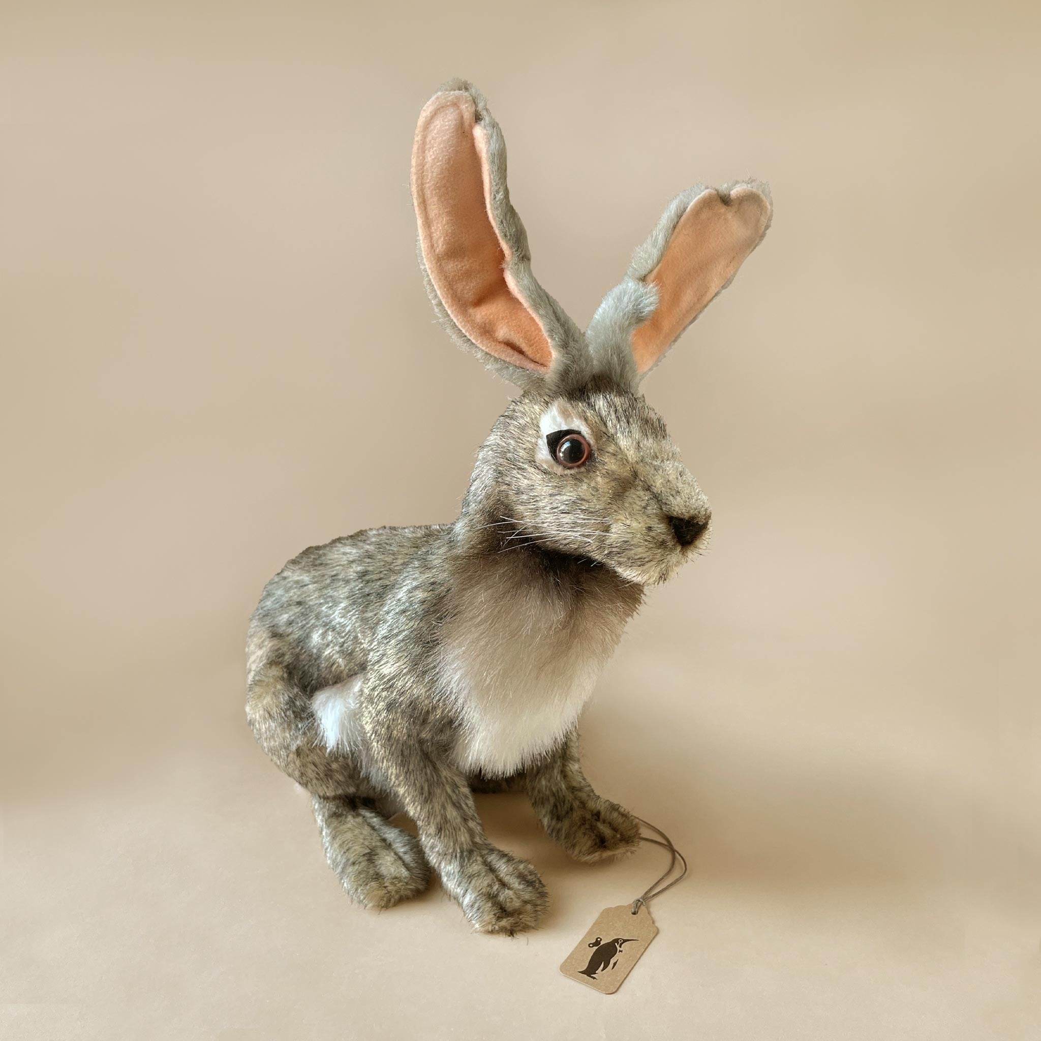 Jack Rabbit | Grey